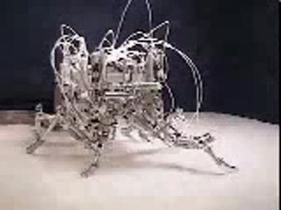 Cockroach_robot