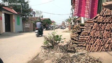 VnExpress | Thời sự | Cây xanh bị 'giải tỏa' trong chiến dịch vỉa hè khiến người dân bức bình