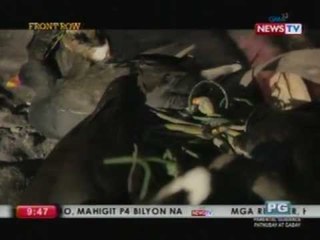 Front Row: Bakit nga ba nanghuhuli ng mga ibon ang mga "bird hunters" kahit illegal ito?