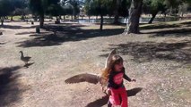 Little demon-spawn kicks a goose...goose retaliates