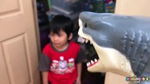 BAD BABY Shark eating our giant gummy bear - Feeding time with Skyheart and shark toys for ki