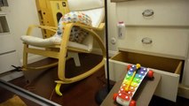 Ils utilisent une méthode incroyable pour réveler le sexe de leur futur enfant : machine de Rube Goldberg