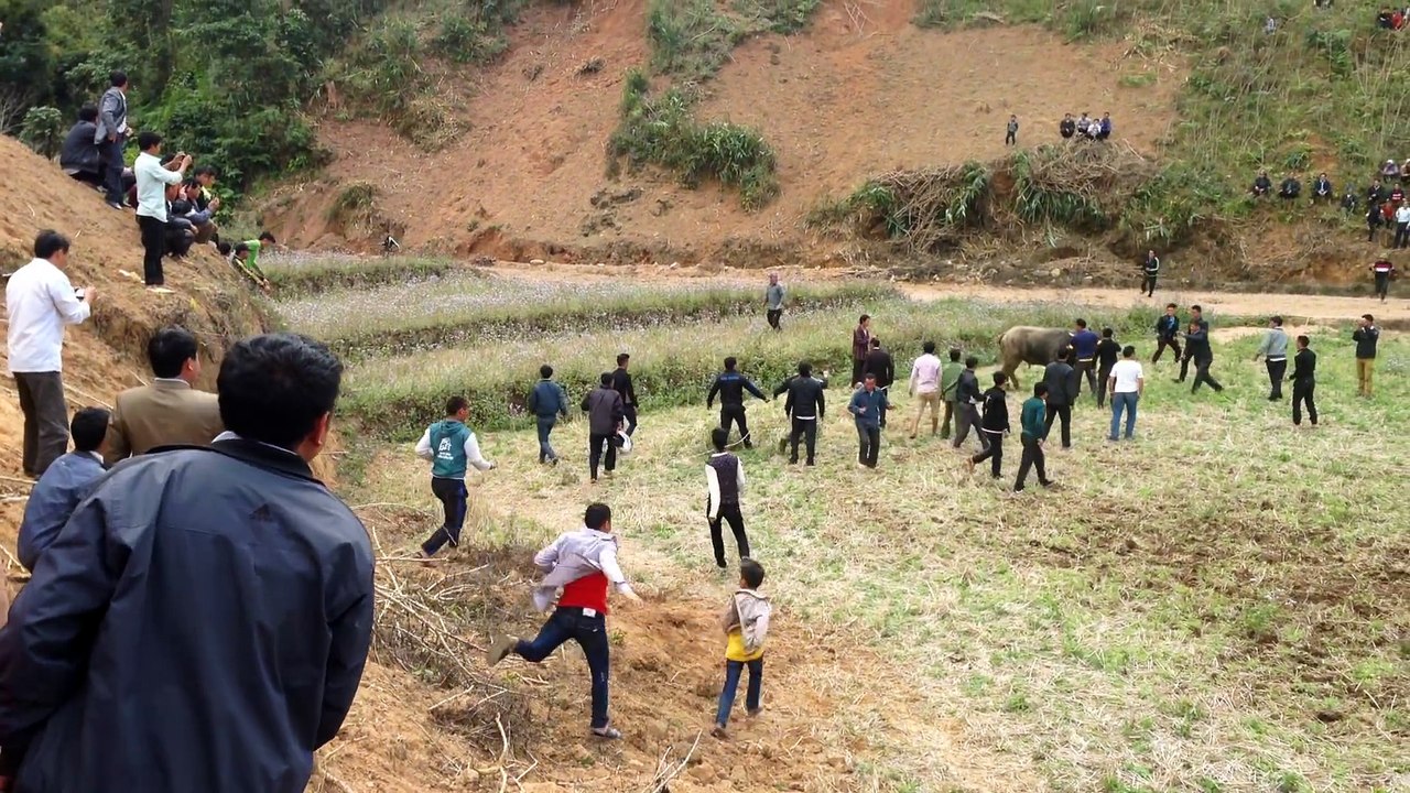 Twm sib nraus 2017 ( Điện Biên) - Keej tias tias