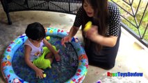 Egg Surprise Toys LETS GO FISHING CHALLENGE Orbeez Kiddie Pool Shopkins Kids Video Ryan T