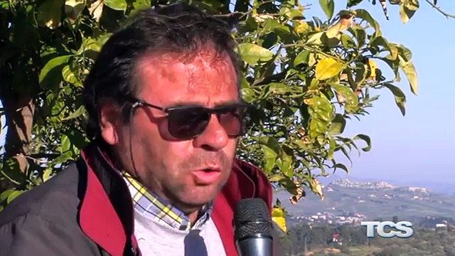 Camurria puntata 10 Lavoro nero Sfruttamento o necessita