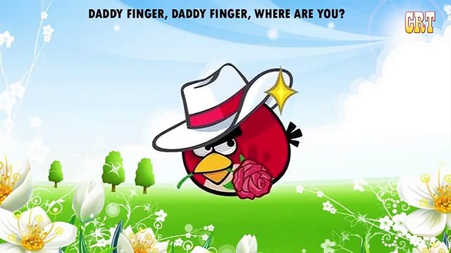 Angry Birds Spiderman Finger Family Song | Angry Birds 2016 Cartoon Nursery Rhymes Songs f
