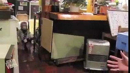 بندر سے کیسے کیسے کام لیئے جاتے ہیں