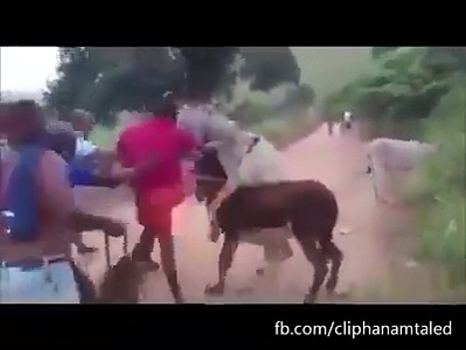 بہت ہی مزاحیہ ویڈیو