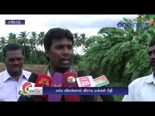 பெரிய காலடித்தடங்கள்... மர்ம விலங்கு நடமாட்டம்... வீட்டிற்குள் முடங்கிய மக்கள்- வீடியோ