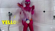 5 Colors Wet Balloons SpiderGirl In Real Life Learn Colours Balloon Finger Nursery Song Superheroes