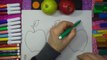 Learn Colours For Kids With Apples Balloons Colouring Page | Colors for Kids | The Surpris