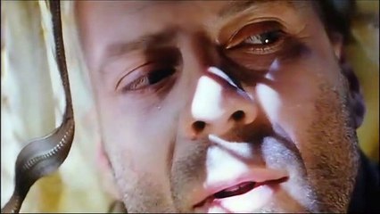 L'armée des 12 singes .....