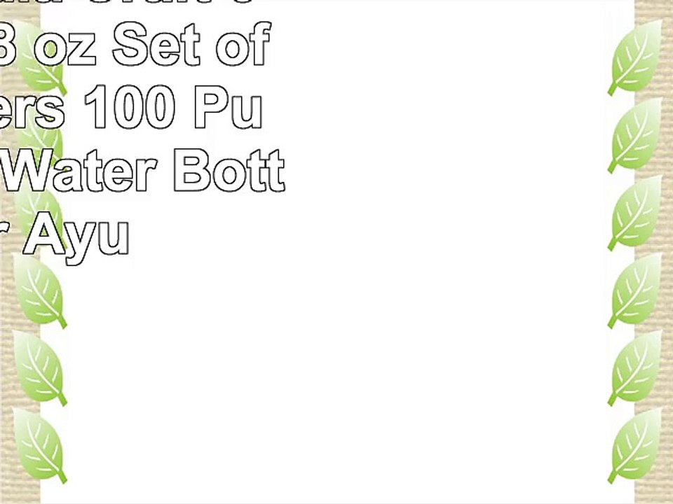 Prisha India Craft   600 ml  2028 oz  Set of 2 Travellers 100  Pure Copper Water