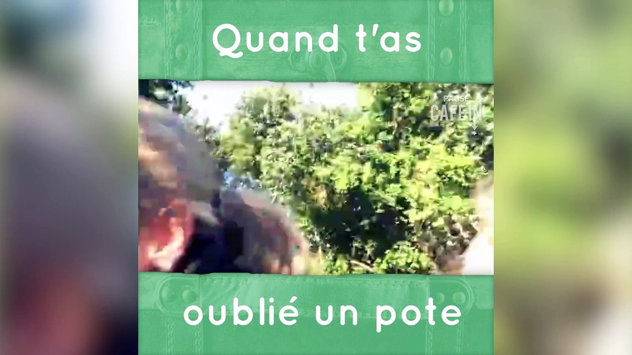 Une course poursuite étrange avec une girafe