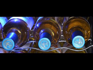 KingsBottle beverage cooler review