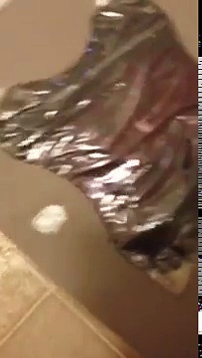 Smartsift_litter_box_from_Catit_first_personal_review_small