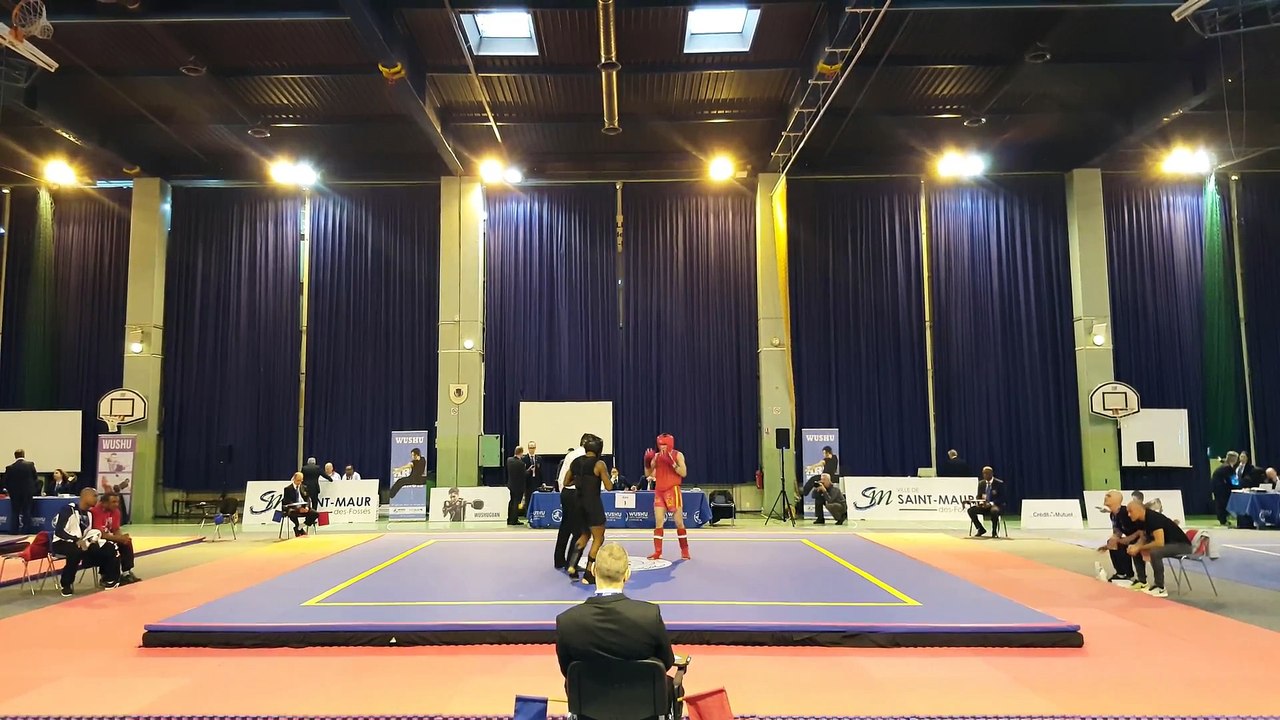 Hamid Karimi 1/4 Championnat de France  Sanda 2017 Round 11