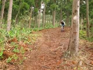 thE mOucH974 - Paradize Trail : Tévelave