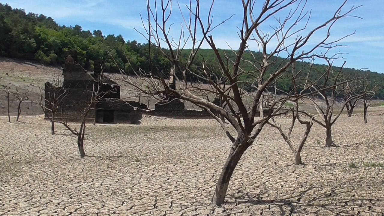 La beauté cachée du lac de Guerlédan