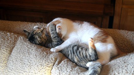 Marco getting washed