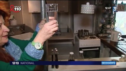 Vosges : les adeptes de la sève de bouleau