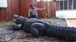 Cet homme fait preuve d'un courage incroyable pour s'asseoir près d'un crocodile géant