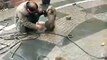Monkey Beating Human in India