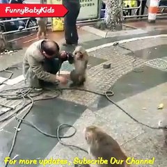 Monkey Beating Human in India