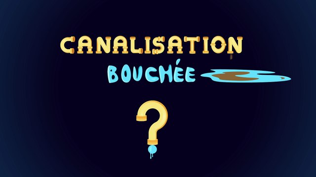 Comment déboucher les toilettes pour les nuls