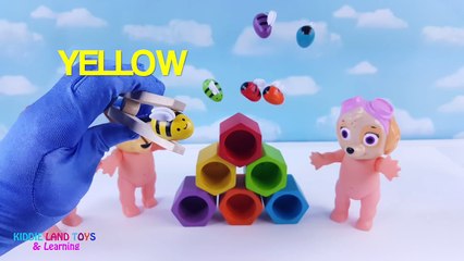 Learn Colors Paw Patrol PJ Masks Bubble Guppies Baby Dolls Beehives Pretend Play Best Lear