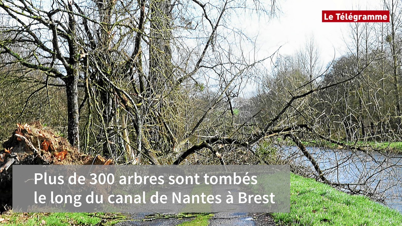 Tempête Zeus. Le point trois semaines après