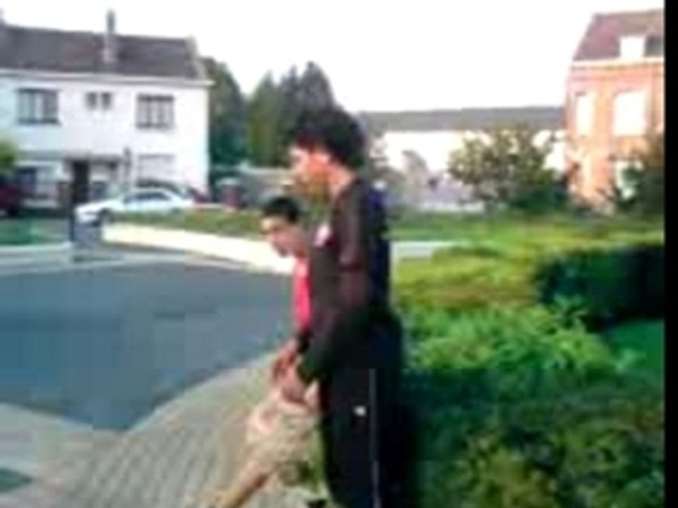 flex1