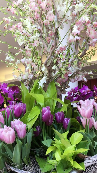 hello spring