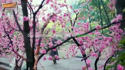 Tân Anh Hùng Xạ Điêu tập 44 VietSub + Thuyết minh