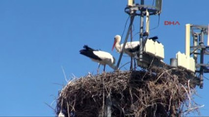 Diyarbakır'da Dengbej Kültürü Köylerde Yeniden Hayat Bulacak