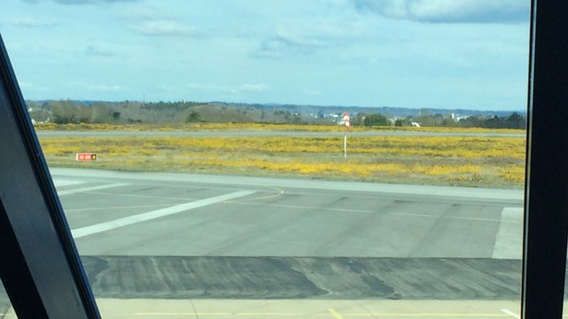 Arrivée d'un lycéen concarnois blessé dans l'attaque de Londres
