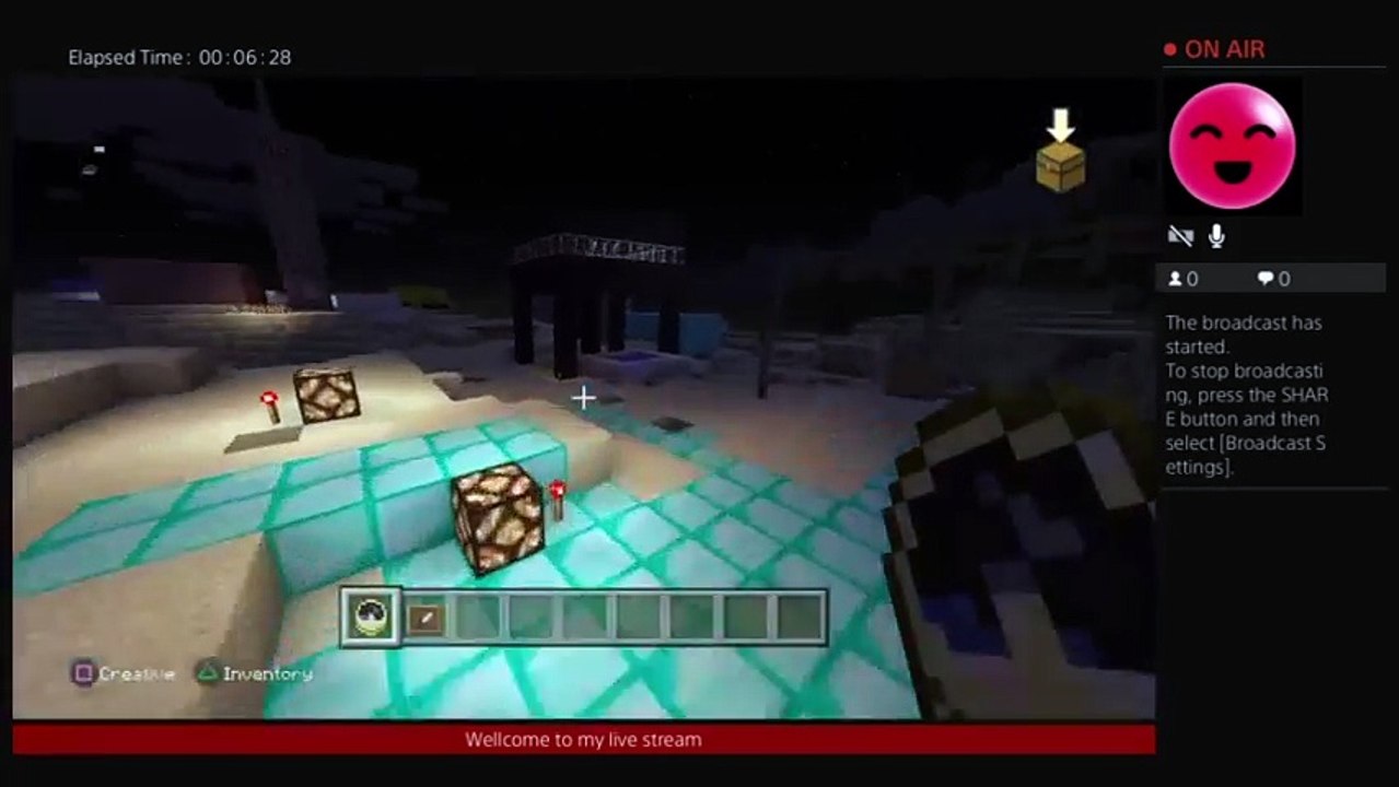 Minecraft (5)