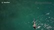 Swimmer comes ominously close to being attacked by shark