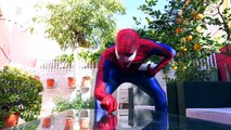 Spiderman vs Venom disguised as Hulk. Spiderman Prank in Real Life - Superhero Funny Movie