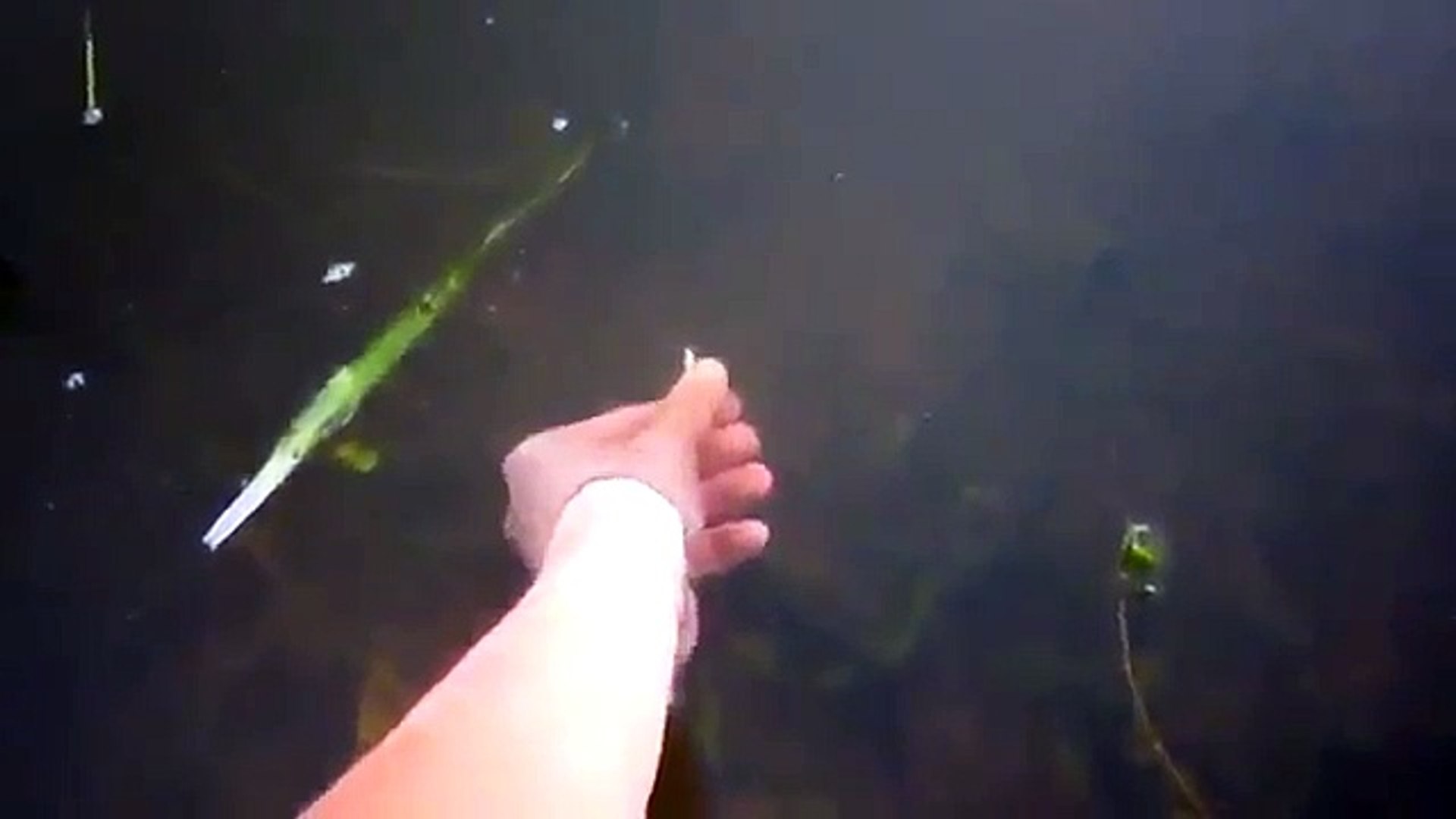 Мастер класс в ловле рыбы