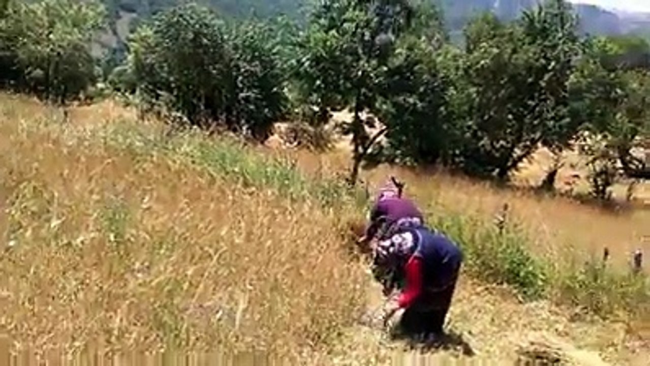 Dumanlı Dumanlı Oy Bizim Eller