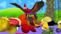 Learn Names of Fruits Vegetables with Parrot | Healthy Foods for Kids | Learning Videos Compilation