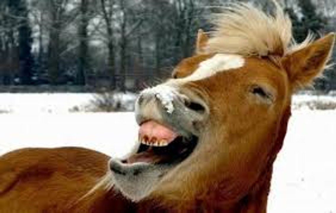 funny moments