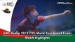 2015 World Tour Grand Finals Highlights: HAMAMOTO Yui vs LIN Ye (U21 Final)