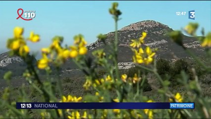Aubagne, le pays de Marcel Pagnol