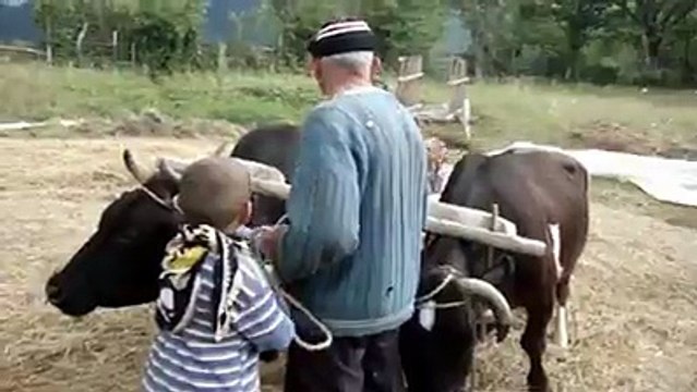 Yürüyorum Dikenlerin Üstünde Nostalji