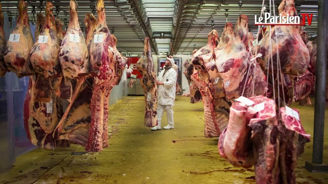 Rungis : au cœur du plus grand marché du monde