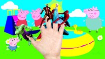 SuperHeroes Finger Family Song | Spiderman Hulk Frozen Elsa Finger Family Nursery Rhymes K