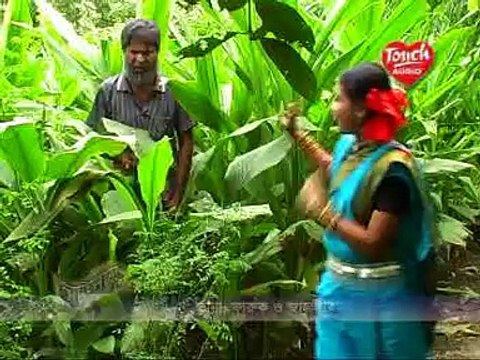 ভাওয়াইয়া গান rangpur bhawaiya song নিধুয়া পাতারত বসি বাজাইলেন কালা বাঁশেরও বাঁশি । Bangladeshi Folk Songs l Bahe Tv