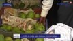 Carbide-ripened mangoes Seized in Cuddalore - Oneindia Tamil